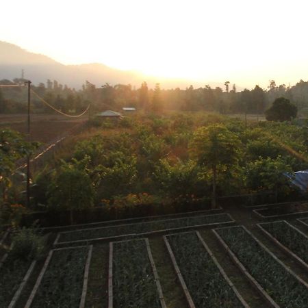 Forest Side Farm - Homestay At Kotabagh Near Nainital And Jim Corbett エクステリア 写真