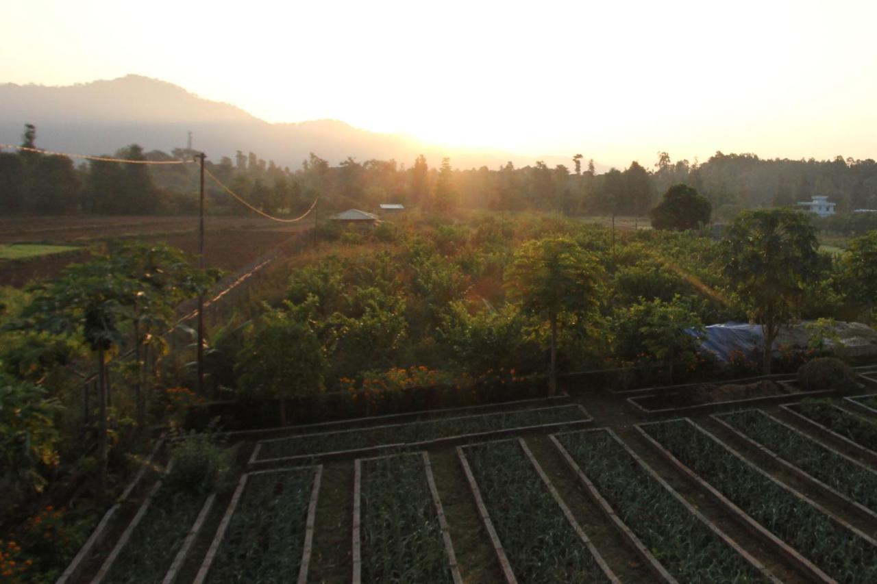 Forest Side Farm - Homestay At Kotabagh Near Nainital And Jim Corbett エクステリア 写真