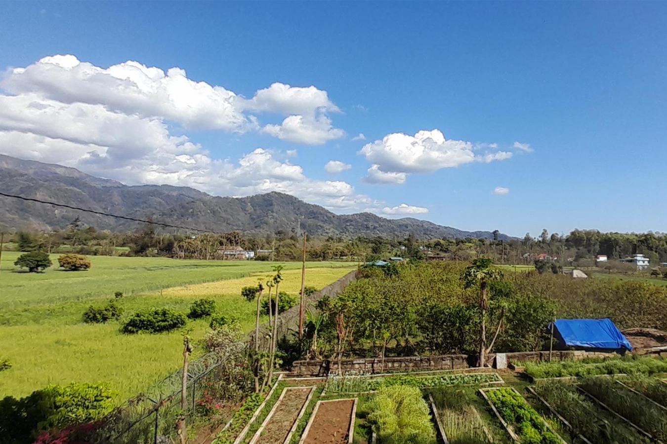 Forest Side Farm - Homestay At Kotabagh Near Nainital And Jim Corbett エクステリア 写真
